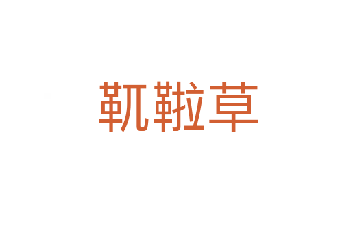 靰鞡草