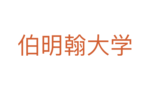 伯明翰大学