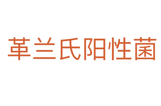 革兰氏阳性菌