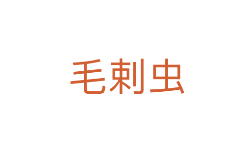 毛剌虫