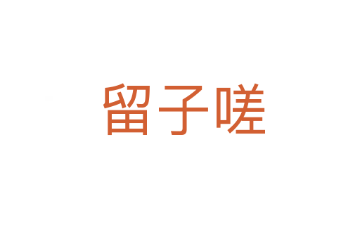留子嗟