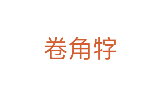 卷角牸