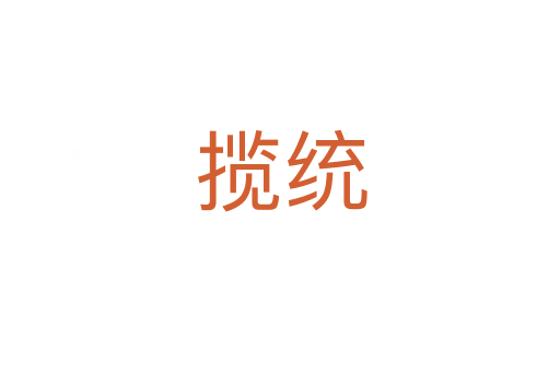 揽统