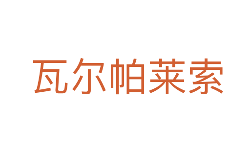 瓦尔帕莱索