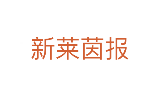 新莱茵报