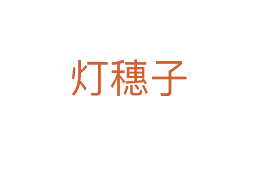 灯穗子