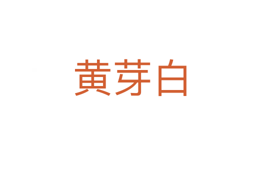 黄芽白
