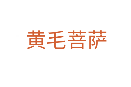 黄毛菩萨