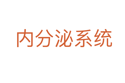 内分泌系统