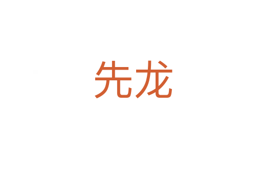 先龙