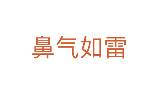 鼻气如雷