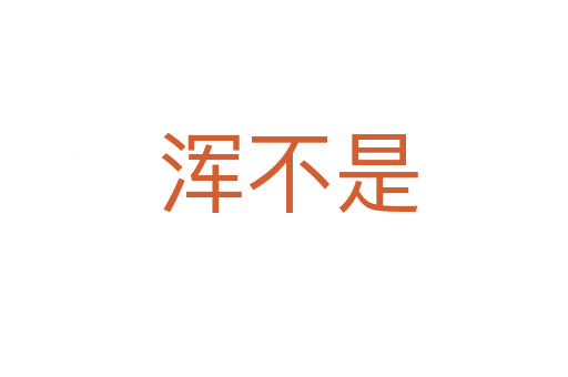 浑不是