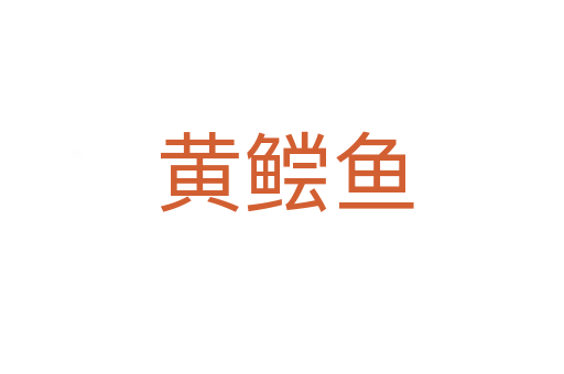 黄鲿鱼