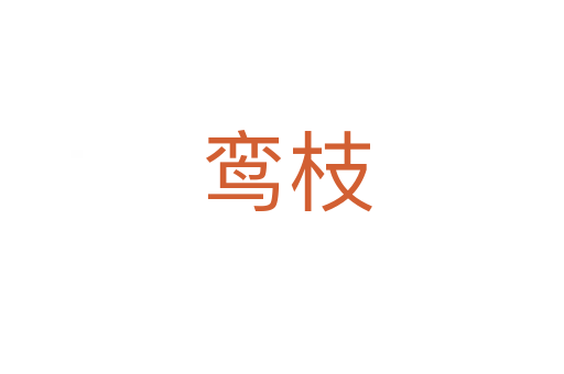 鸾枝
