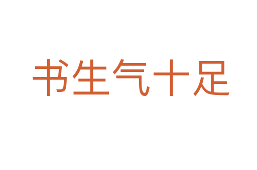 书生气十足
