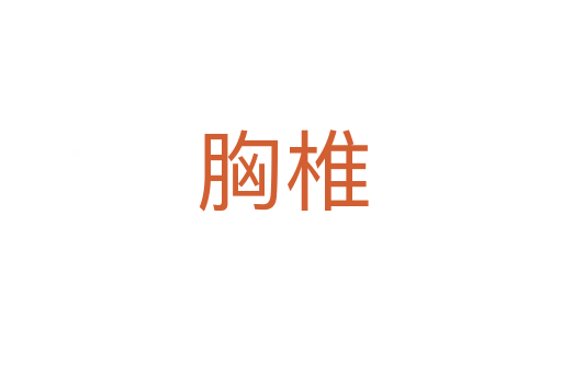 胸椎