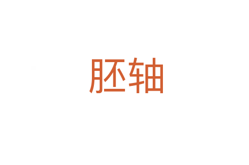 胚轴