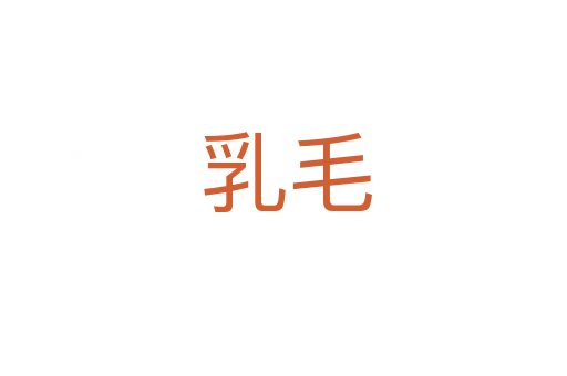 乳毛