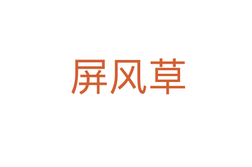 屏风草