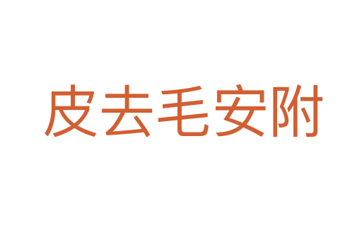 皮去毛安附