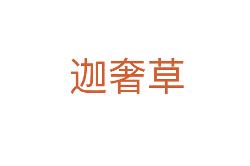 迦奢草