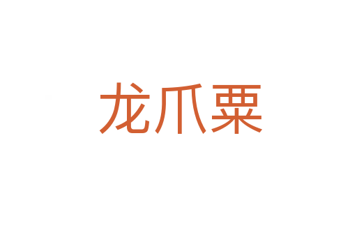 龙爪粟
