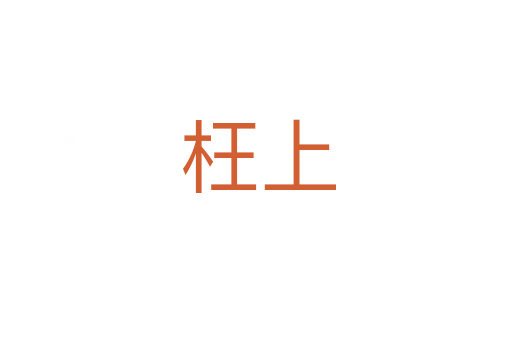 枉上