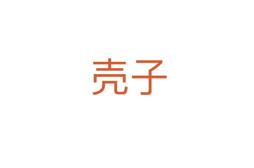 壳子