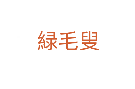 緑毛叟