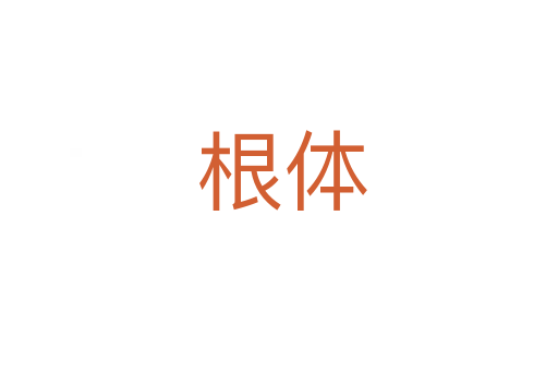 根体