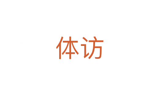 体访