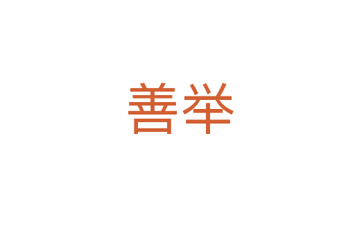 善举