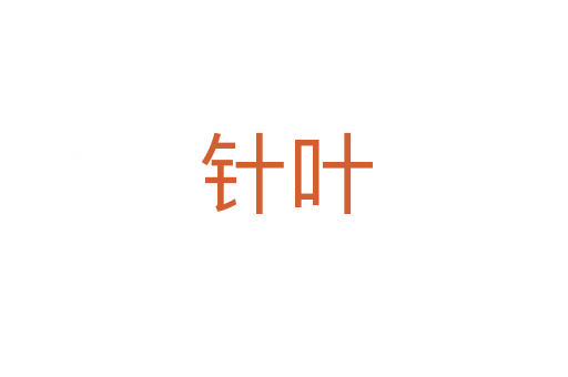 针叶