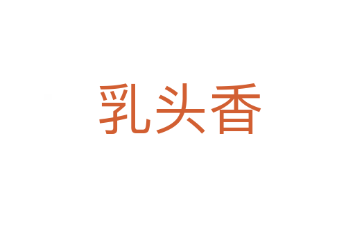 乳头香