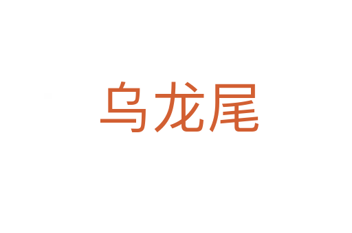 乌龙尾
