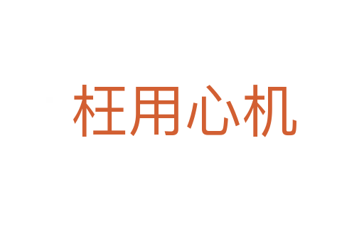 枉用心机