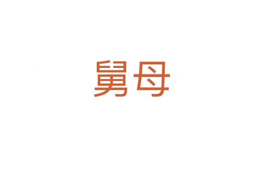 舅母