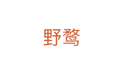 野鹜