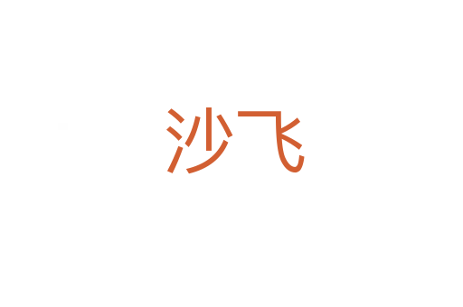 沙飞