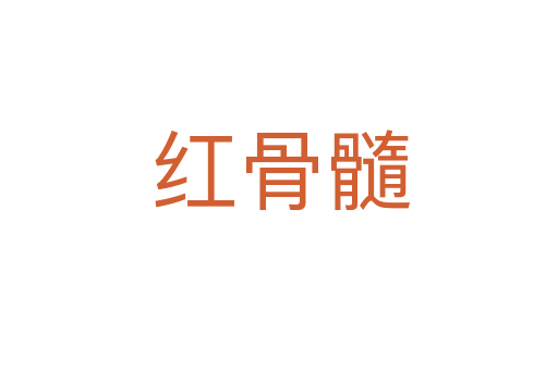 红骨髓