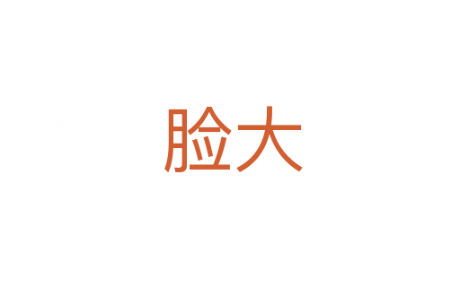 脸大