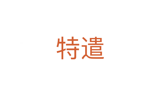 特遣