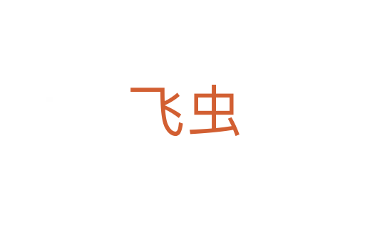飞虫