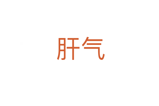 肝气