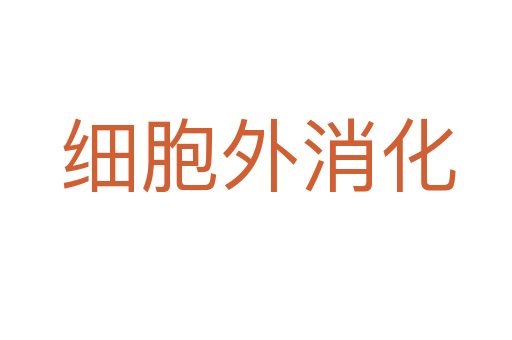 细胞外消化