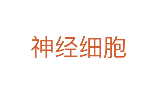 神经细胞