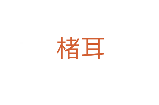 楮耳