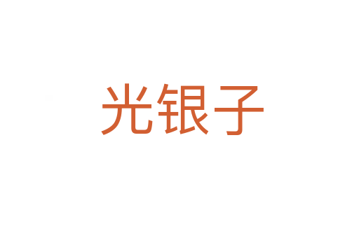 光银子