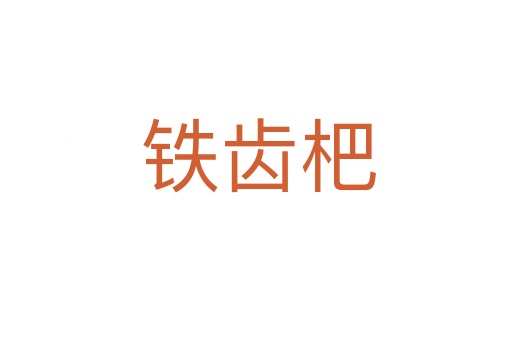 铁齿杷