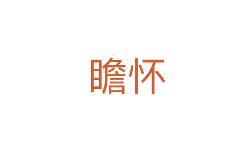 瞻怀